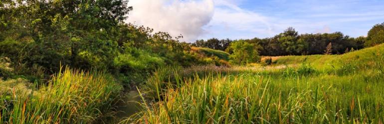 Tres Palacios prairie with stream meandering through